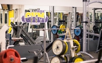 MosaGym