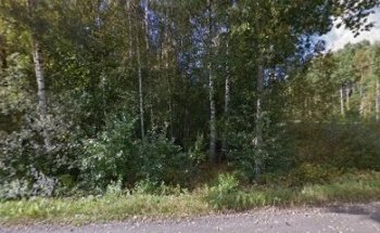 nokian pyry