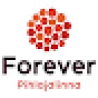 Forever Kuopio Lite - Kolmisoppi kuntosali