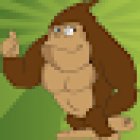 Amazing Family Gym Runsor