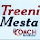 TreeniMesta
