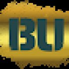 Bu Training Center Oy