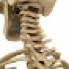 Kehonhuolto Moisanen