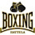 Hattula Boxing
