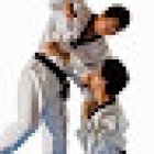 Herttoniemen Taekwondo seura / Helsinki