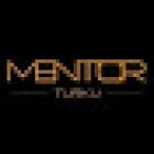 Mentor Turku