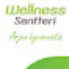 Wellness Sentteri Oy