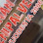 Tiinan Treenipalvelut