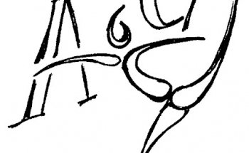 Avenir Gymnique des Pins