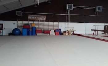 Gymnase Vatine