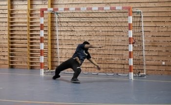 Halle des Sports