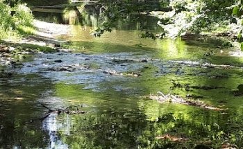 Gymnase Désiré Nisard