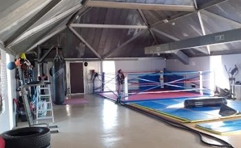 ArtFitBoxing - USPT