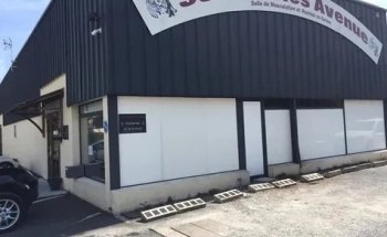 36 Muscles Avenue