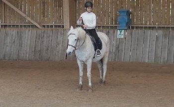 Equestrian Center Le Val Kalypso