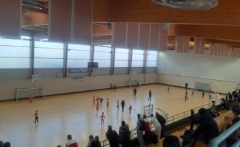 Gymnase Louison Bobet