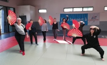 Course Qi Gong And Taiji Quan À Noisy-Le-Sec