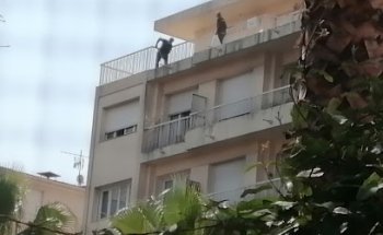 Gymnase Brancolar