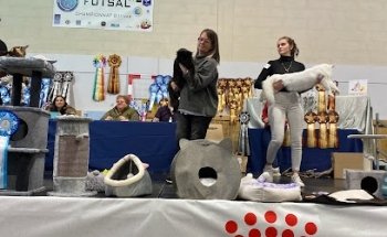 Gymnase Régis Auzerau