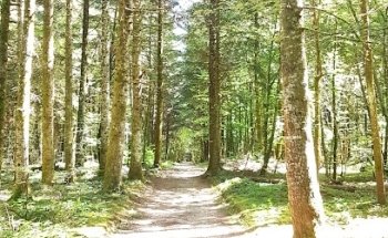 Parcours de santé