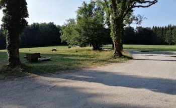 Mont poupet bike park