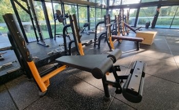 Body's Studio