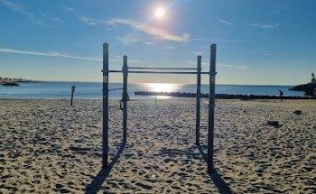Muscle Beach Calisthenics