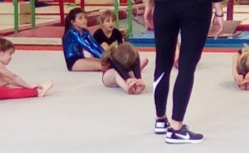 Gymnase Alsace Lorraine