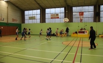 Les Voltigeurs