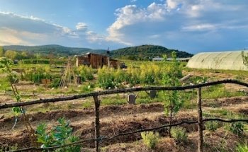 Victoria Per Cor La Micro Ferme