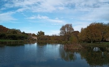 Etang de Malaucène