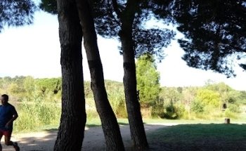 Zona de fitness / Aire de fitness