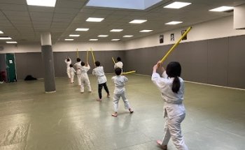 Glub d'aikido Ana