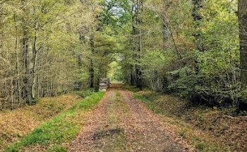 Depart randonne foret armainvilliers