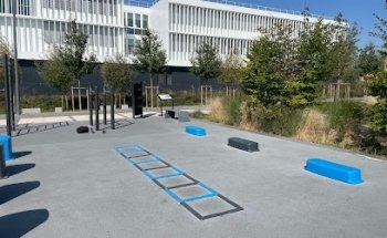 Parc street workout