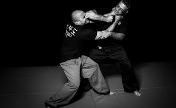 Hapkido Traditionnel (AFHT)
