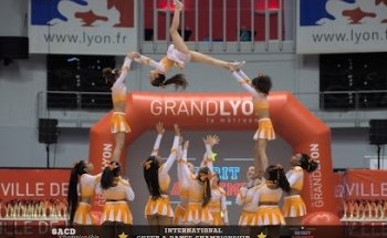 Majestic phoenix cheer