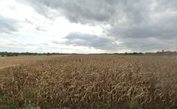 Karaté Wado/Self Défense