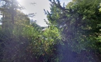 Francis et marceline