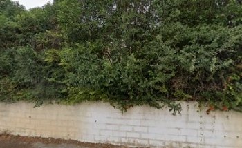 Pilates, Yoga Montpellier