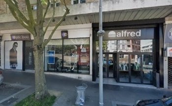 Association caribean body harmony