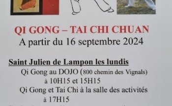 Cours de Qi Gong et Tai Chi Chuan en Dordogne / Fleur de Qi