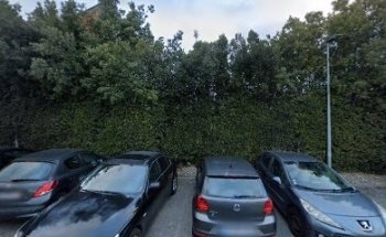 Qi Gong - Etre Son Tao