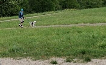 Fitness Park de la Plaine