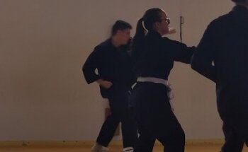 Gymnase du Plateau