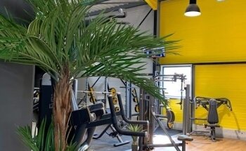 Lemon One Fitness Saint-Louis