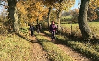 Sport Nature Santé - Marche Nordique - Stretching Postural - Relaxation