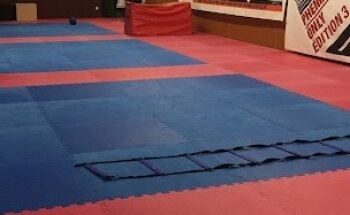 Gymnase des Burgondes