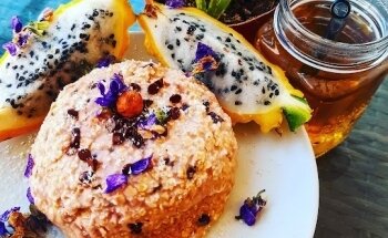 Lions club nutrition sport