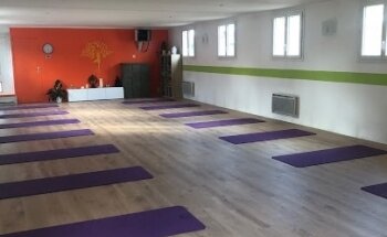 yoga du ris